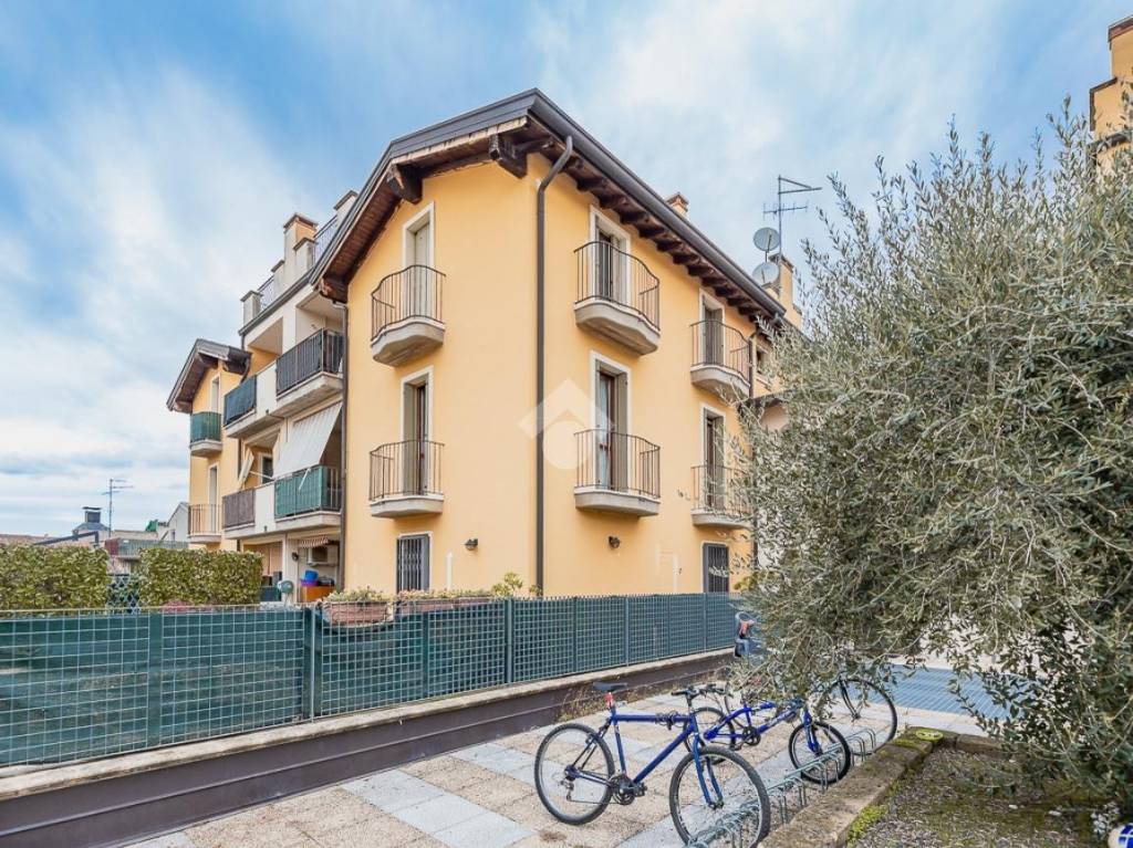 immagine annuncio 1 di 15