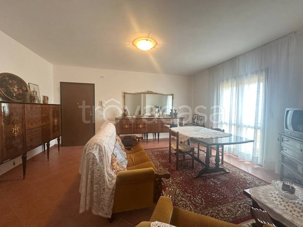 immagine annuncio 5 di 14