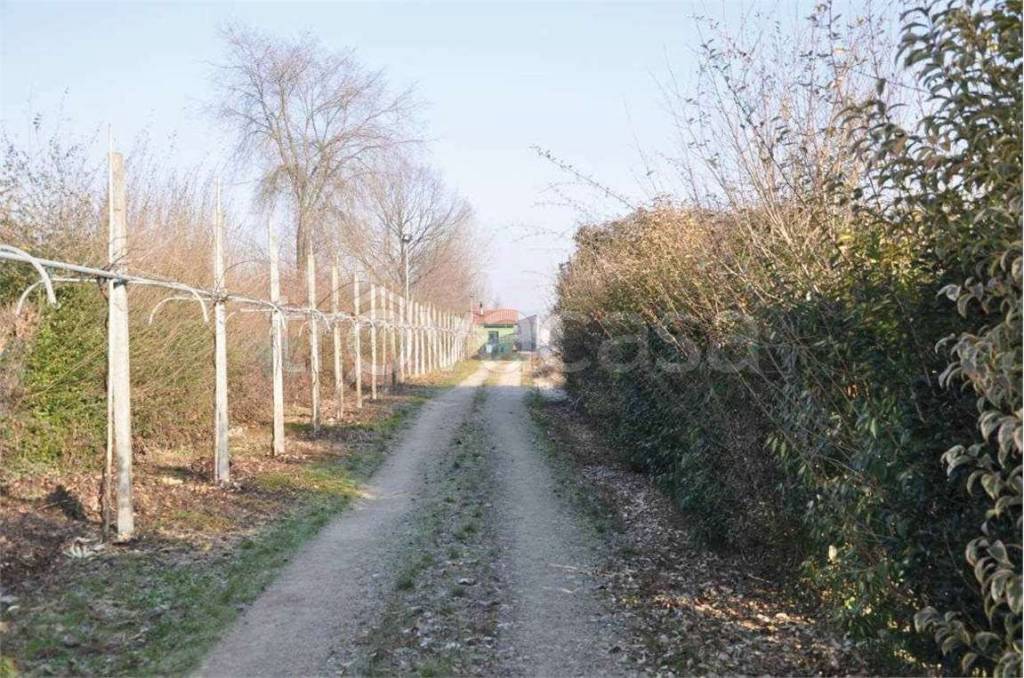 immagine annuncio 14 di 15