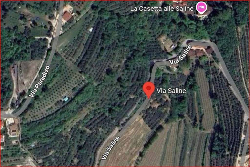 immagine annuncio 10 di 11