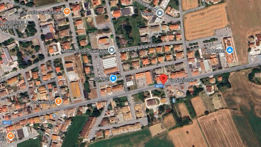 immagine annuncio 2 di 15