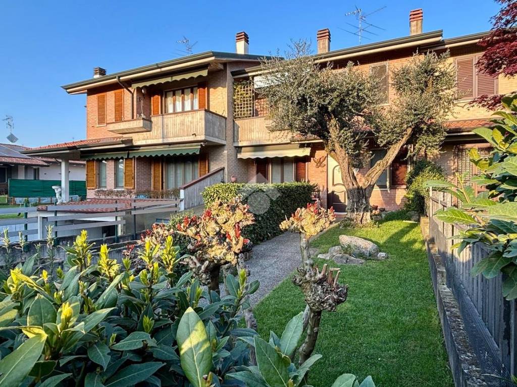 immagine annuncio 1 di 15