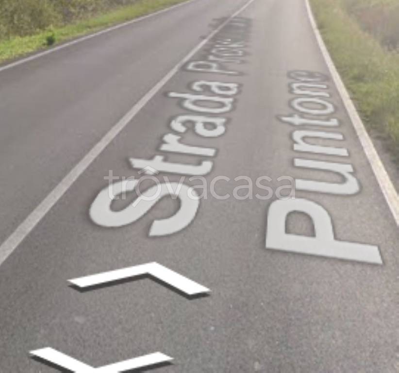 immagine annuncio 12 di 13