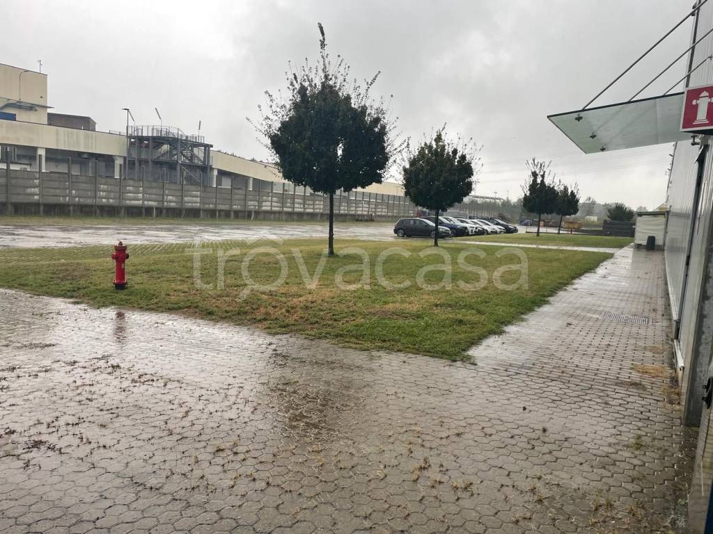 immagine annuncio 1 di 9