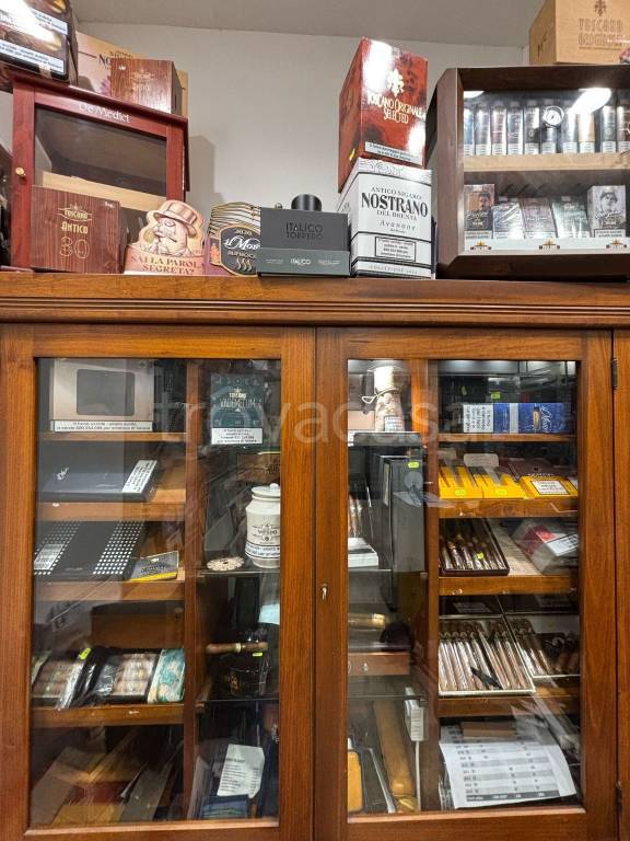 immagine annuncio 11 di 14