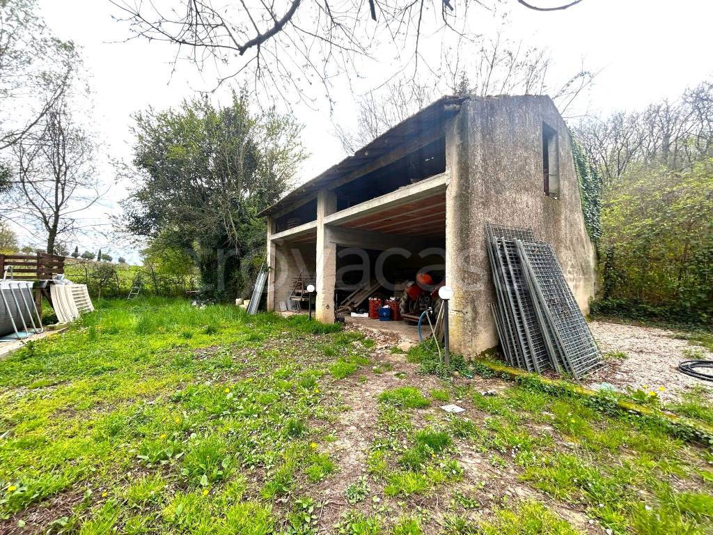 immagine annuncio 6 di 14