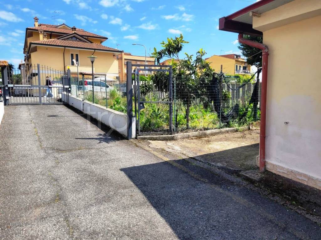 immagine annuncio 2 di 12