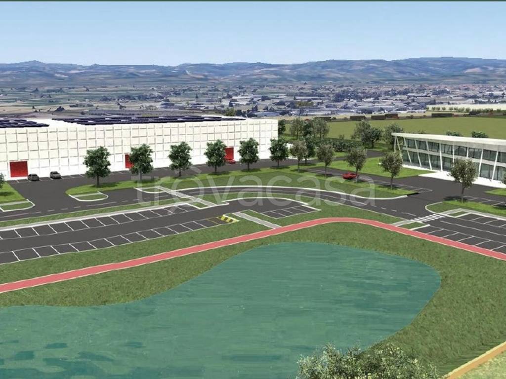 immagine annuncio 1 di 14