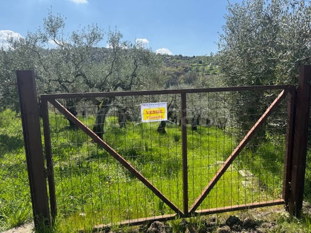 immagine annuncio 9 di 13
