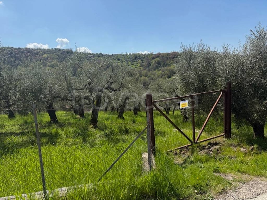 immagine annuncio 10 di 13