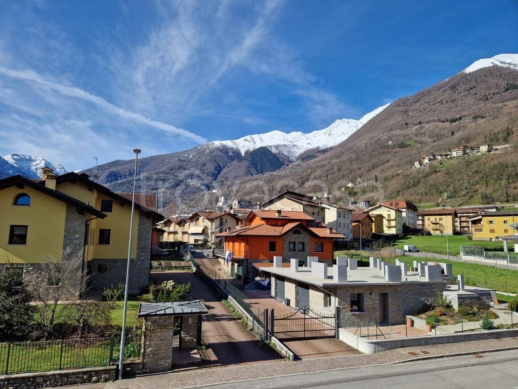 immagine annuncio 5 di 6