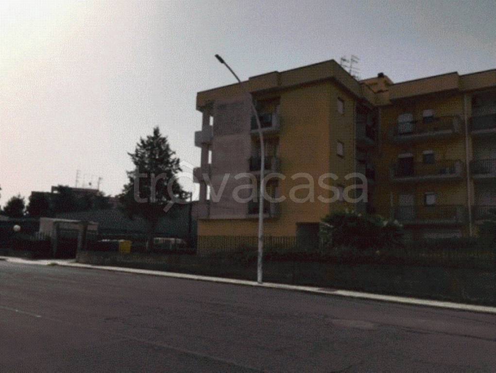 immagine annuncio 12 di 13