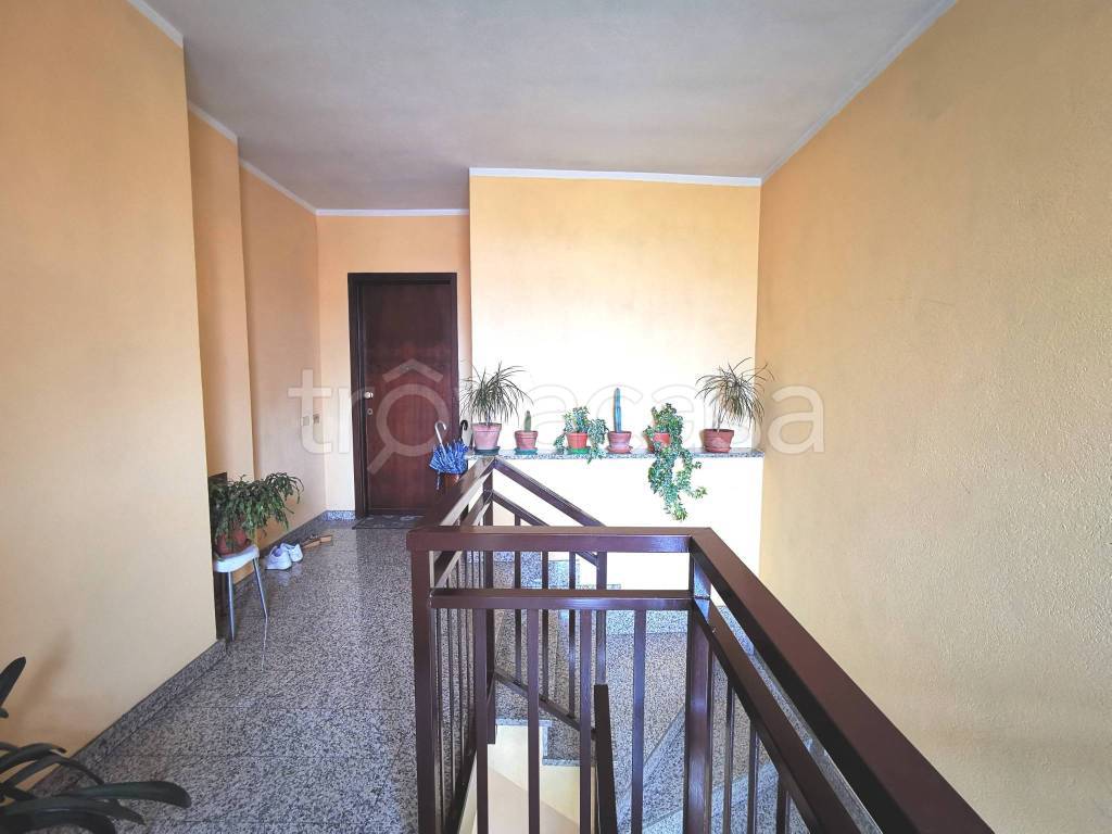 immagine annuncio 9 di 12