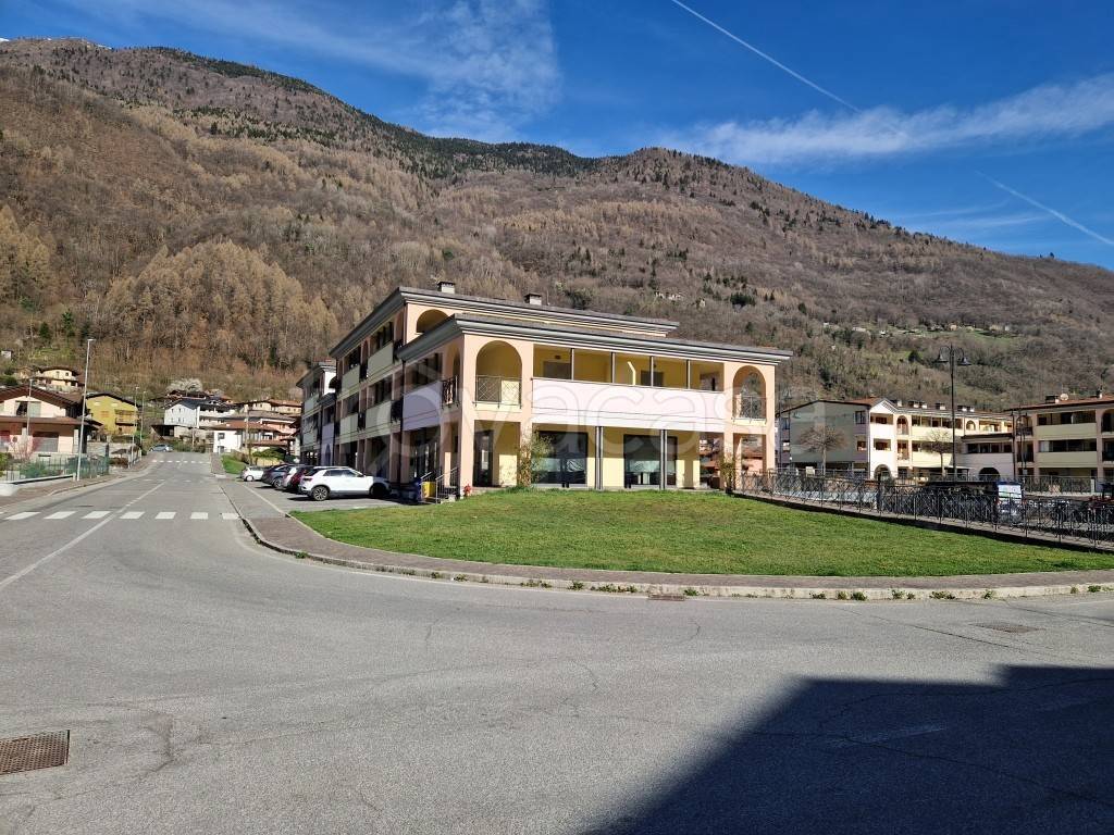 immagine annuncio 1 di 14