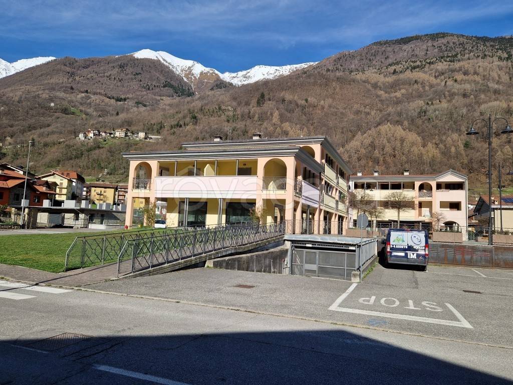 immagine annuncio 2 di 14