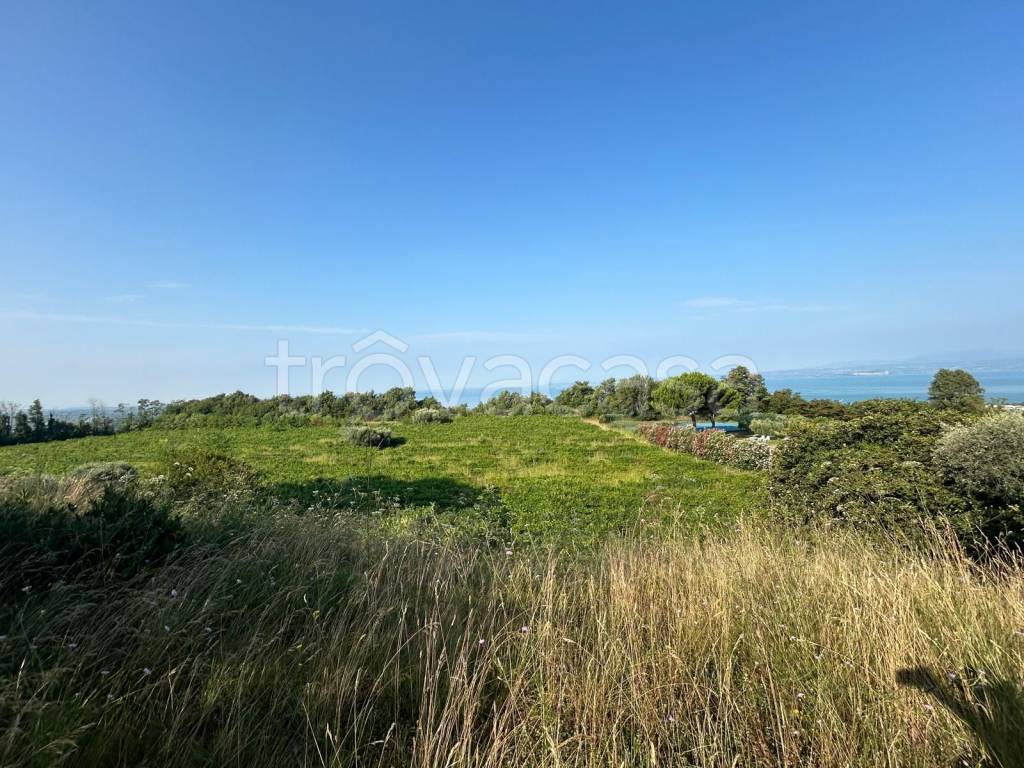 immagine annuncio 1 di 8