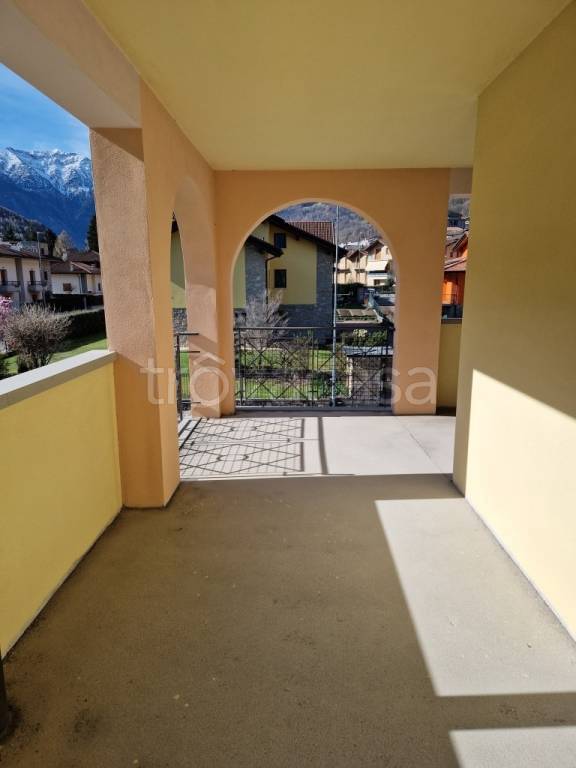 immagine annuncio 9 di 14