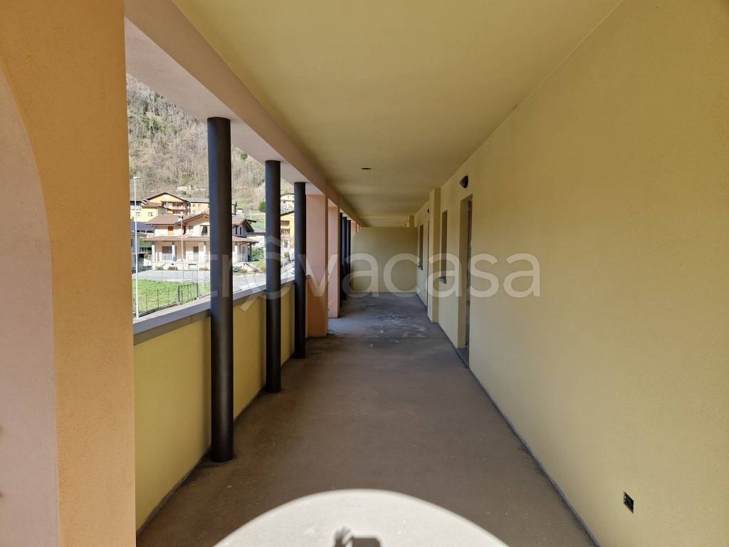immagine annuncio 10 di 14