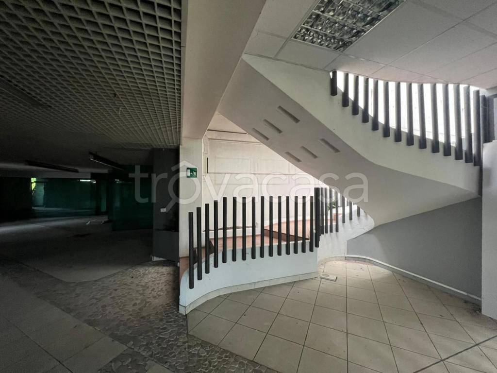 immagine annuncio 4 di 14