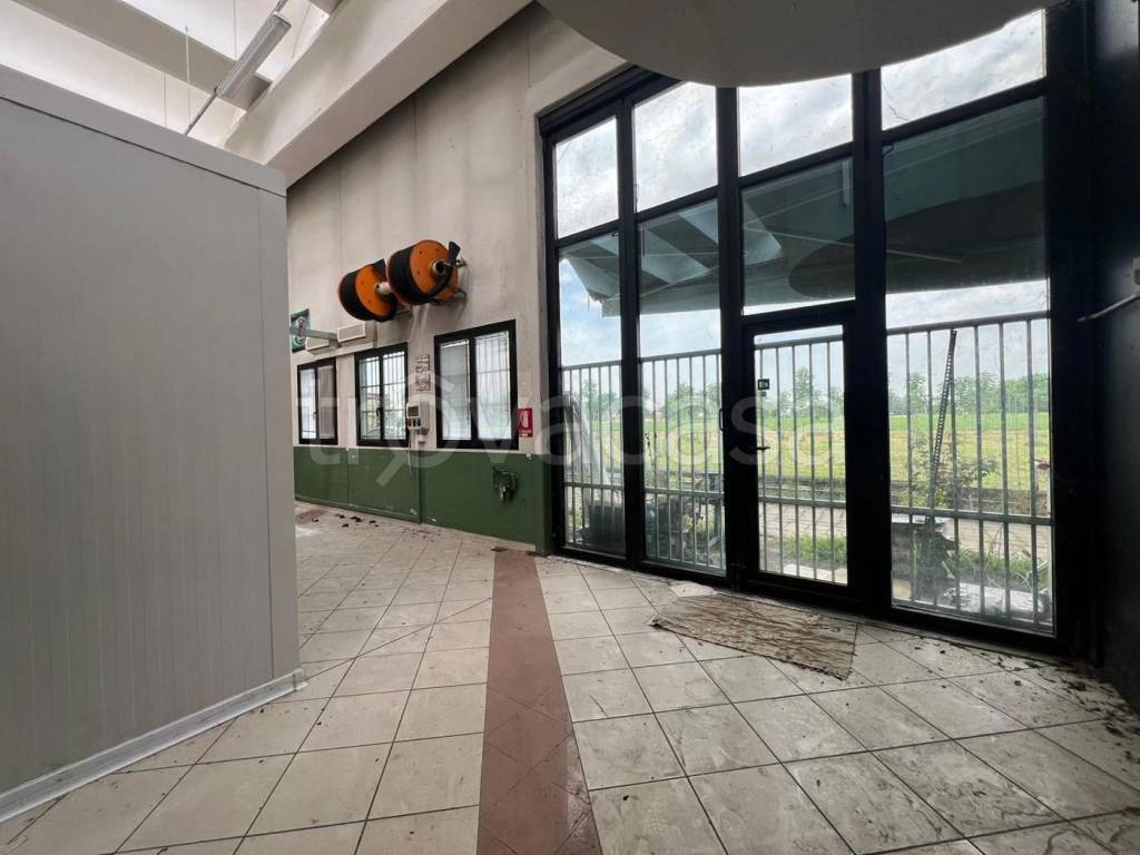 immagine annuncio 7 di 14