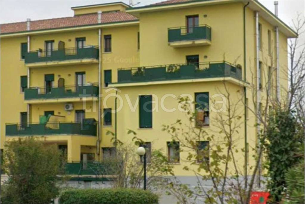immagine annuncio 4 di 15