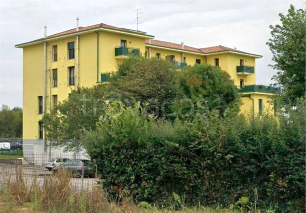 immagine annuncio 8 di 15
