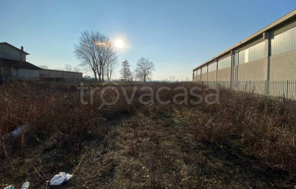 immagine annuncio 6 di 11