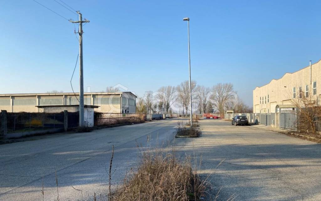 immagine annuncio 8 di 11