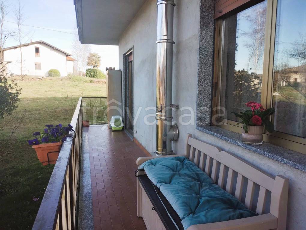 immagine annuncio 12 di 15