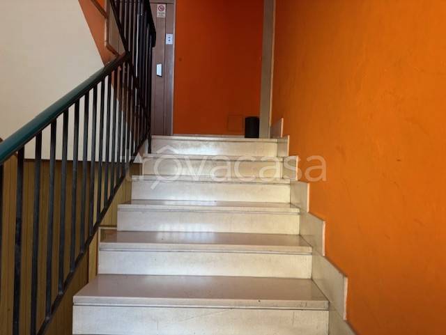 immagine annuncio 5 di 12