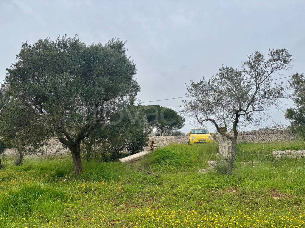 immagine annuncio 7 di 14