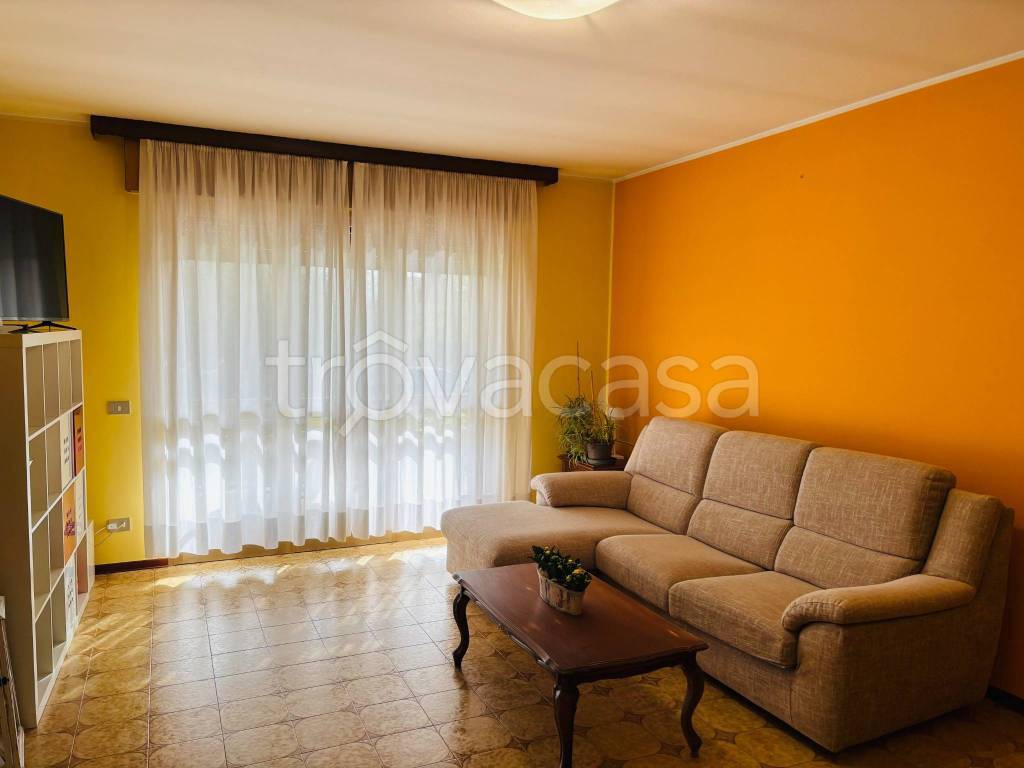 immagine annuncio 11 di 12