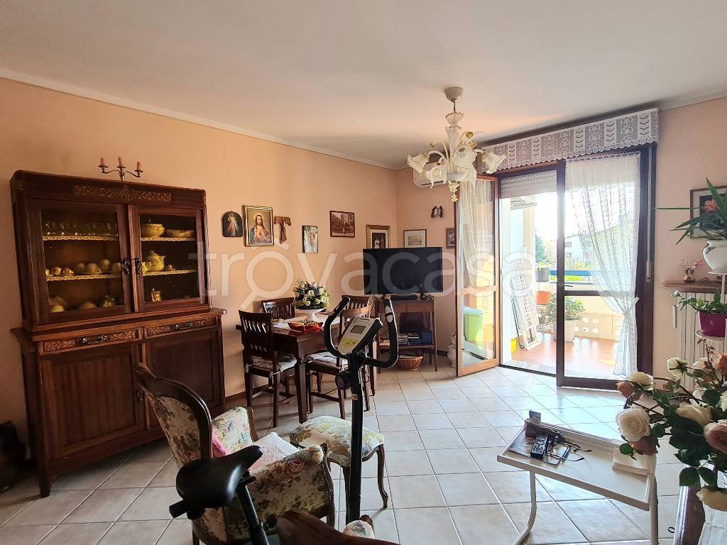 immagine annuncio 2 di 12