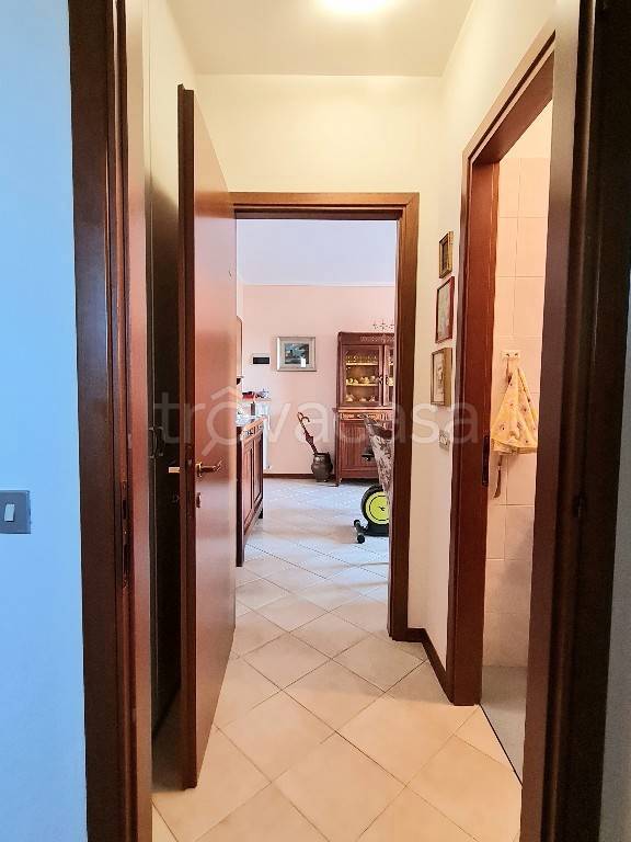 immagine annuncio 5 di 12