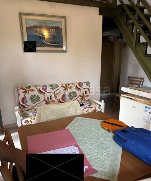 immagine annuncio 9 di 14