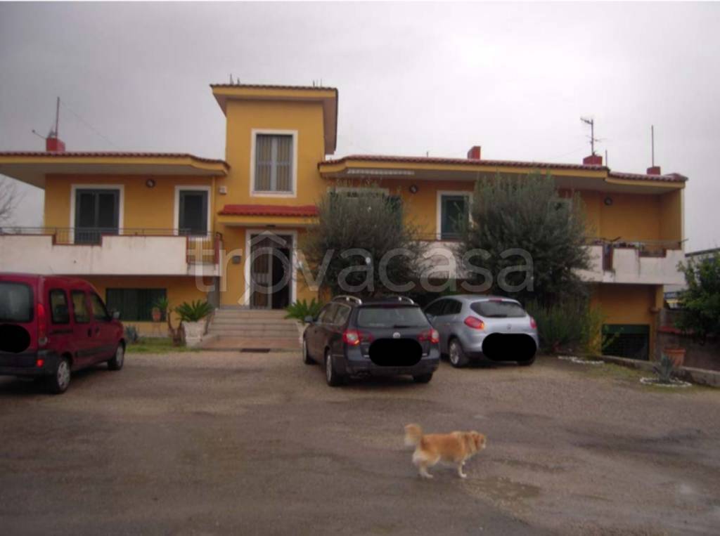 immagine annuncio 3 di 13