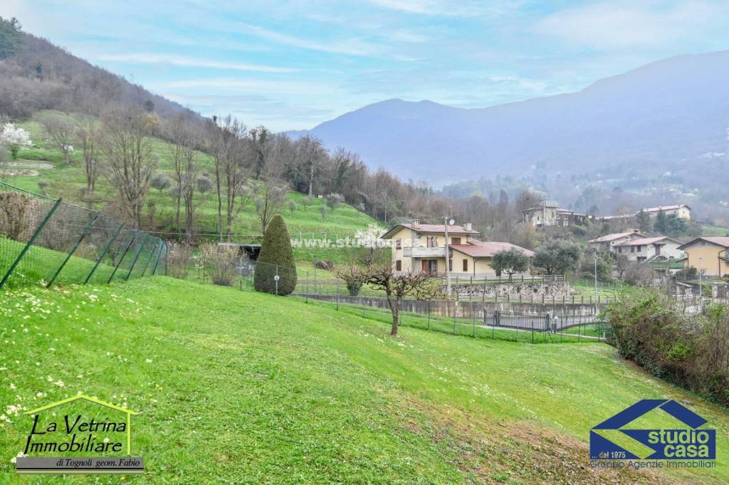 immagine annuncio 9 di 14
