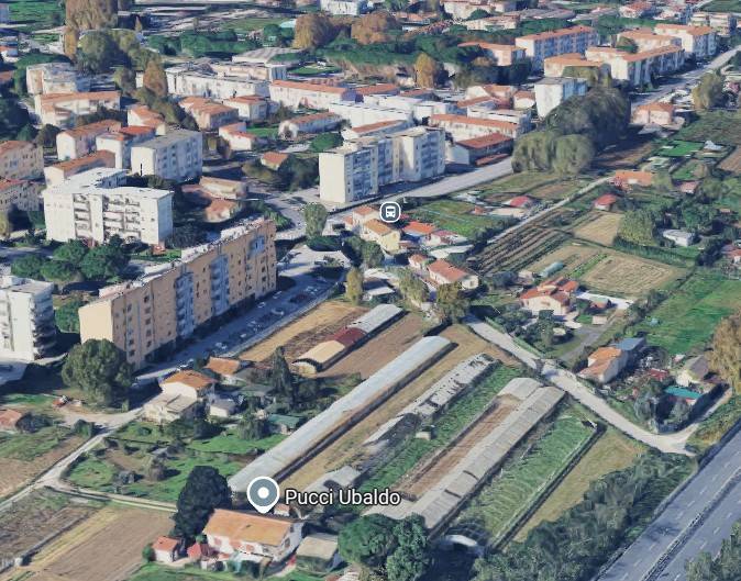 immagine annuncio 3 di 15