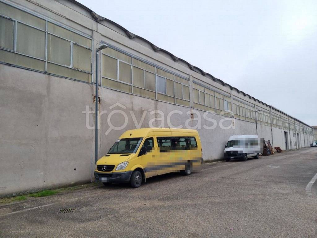 immagine annuncio 5 di 13