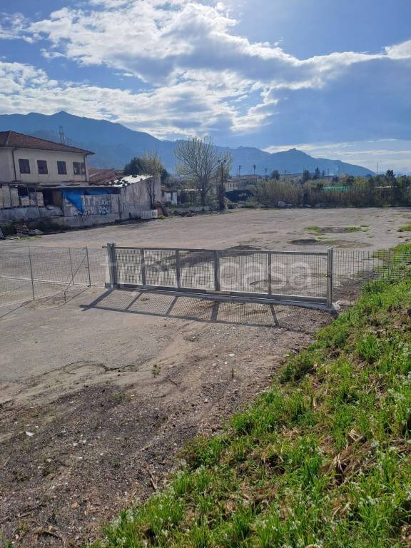 immagine annuncio 3 di 6