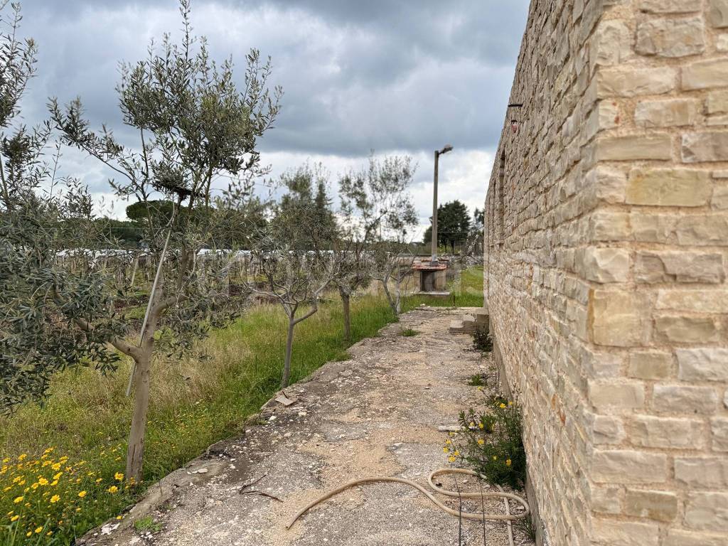immagine annuncio 4 di 6