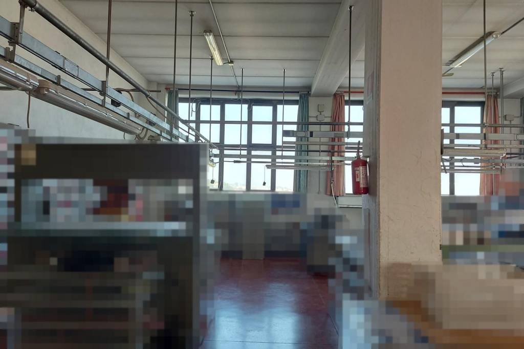 immagine annuncio 5 di 15