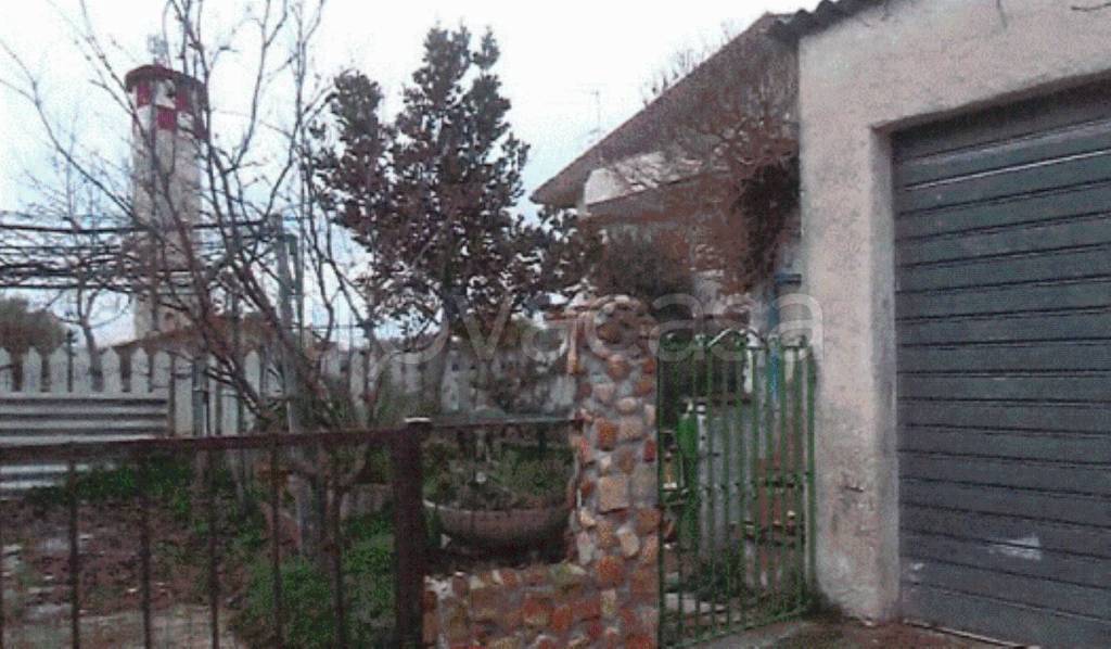 immagine annuncio 10 di 14