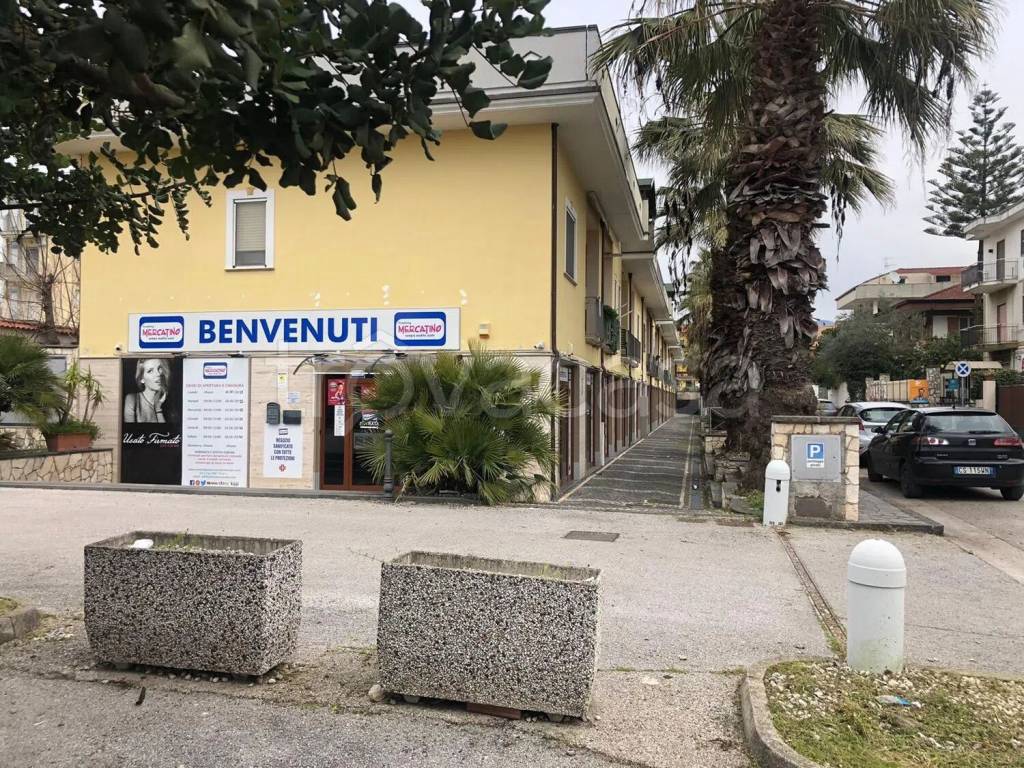 immagine annuncio 1 di 7