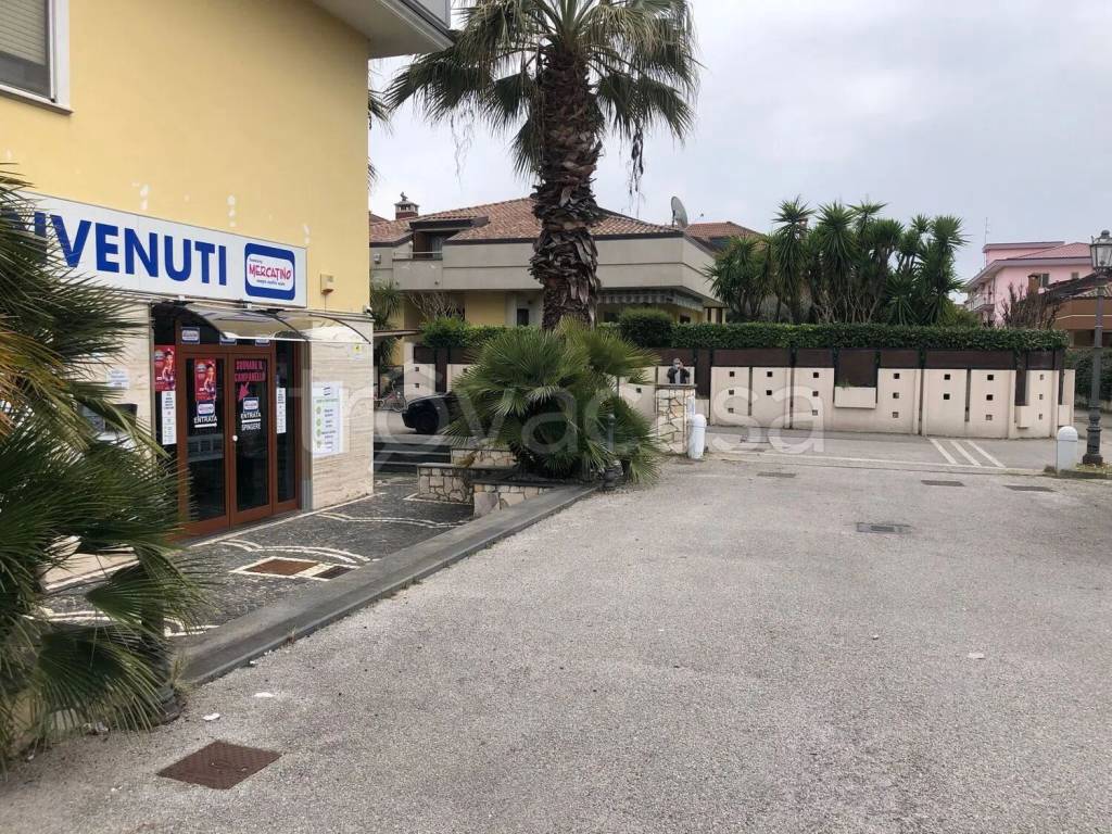 immagine annuncio 2 di 7
