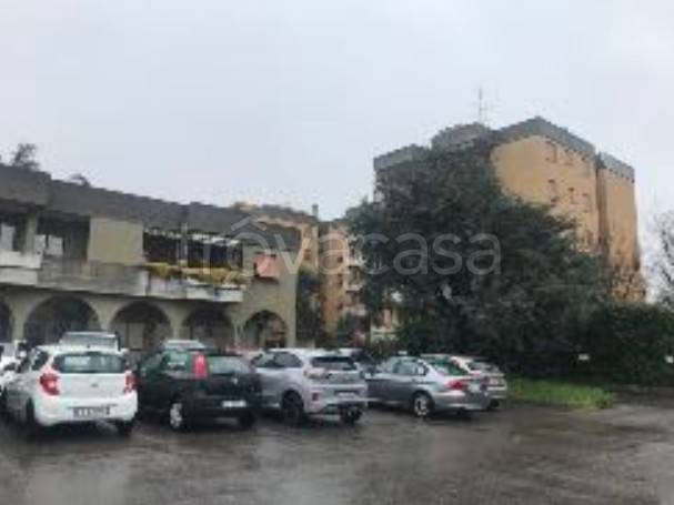 immagine annuncio 4 di 8