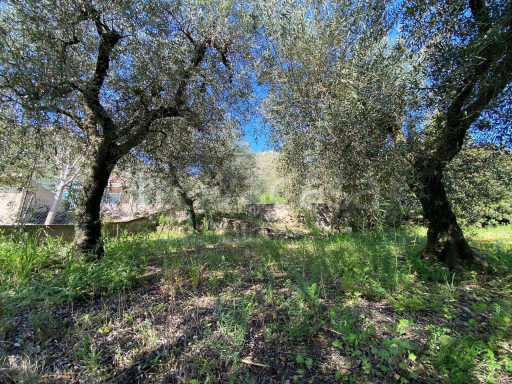 immagine annuncio 6 di 9