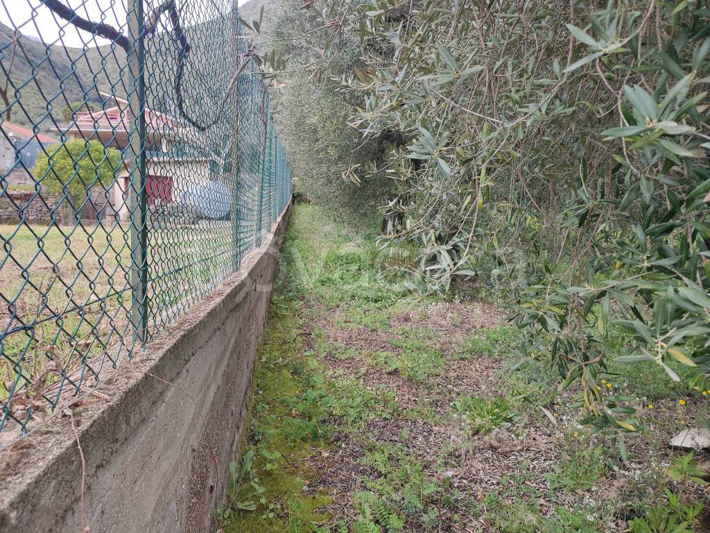 immagine annuncio 8 di 9