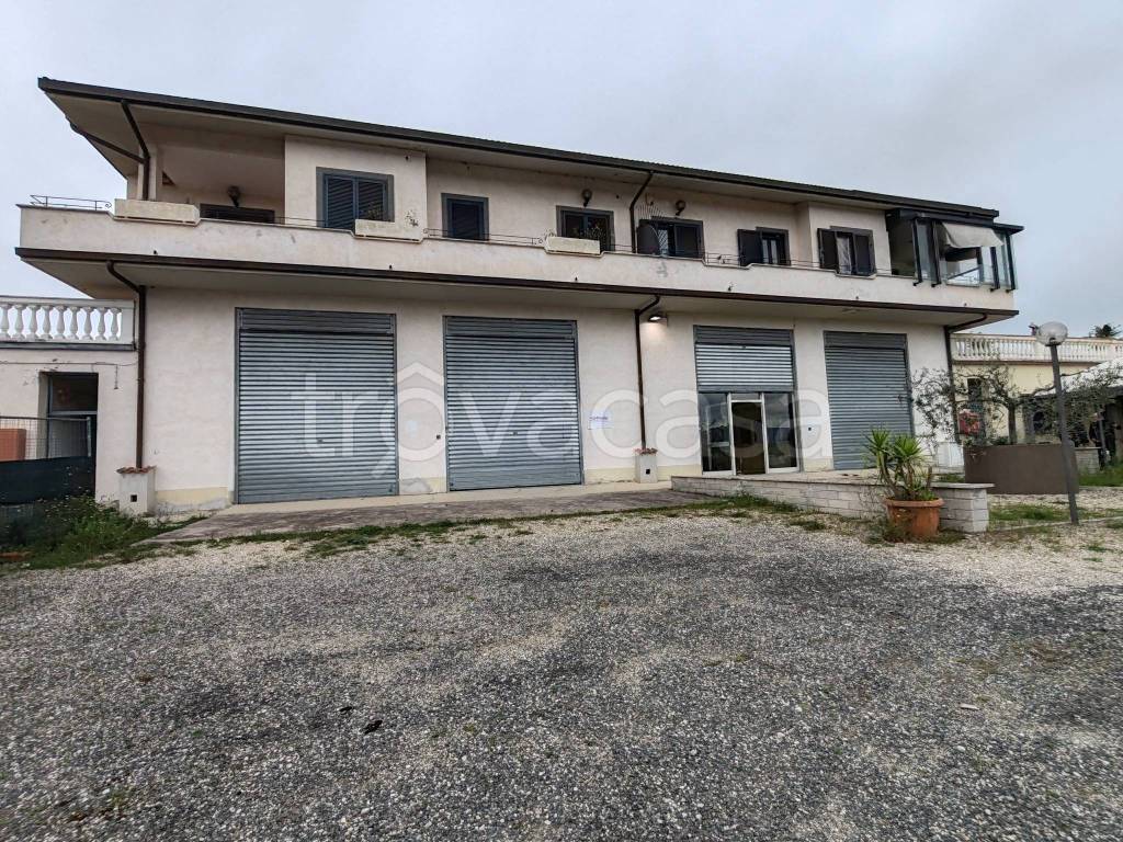 immagine annuncio 11 di 13