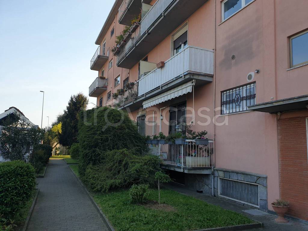 immagine annuncio 4 di 15